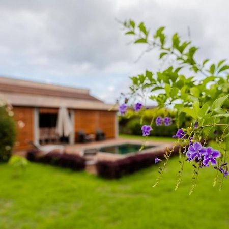 Grand Bay Luxury Villa With Pool & Garden Eksteriør billede